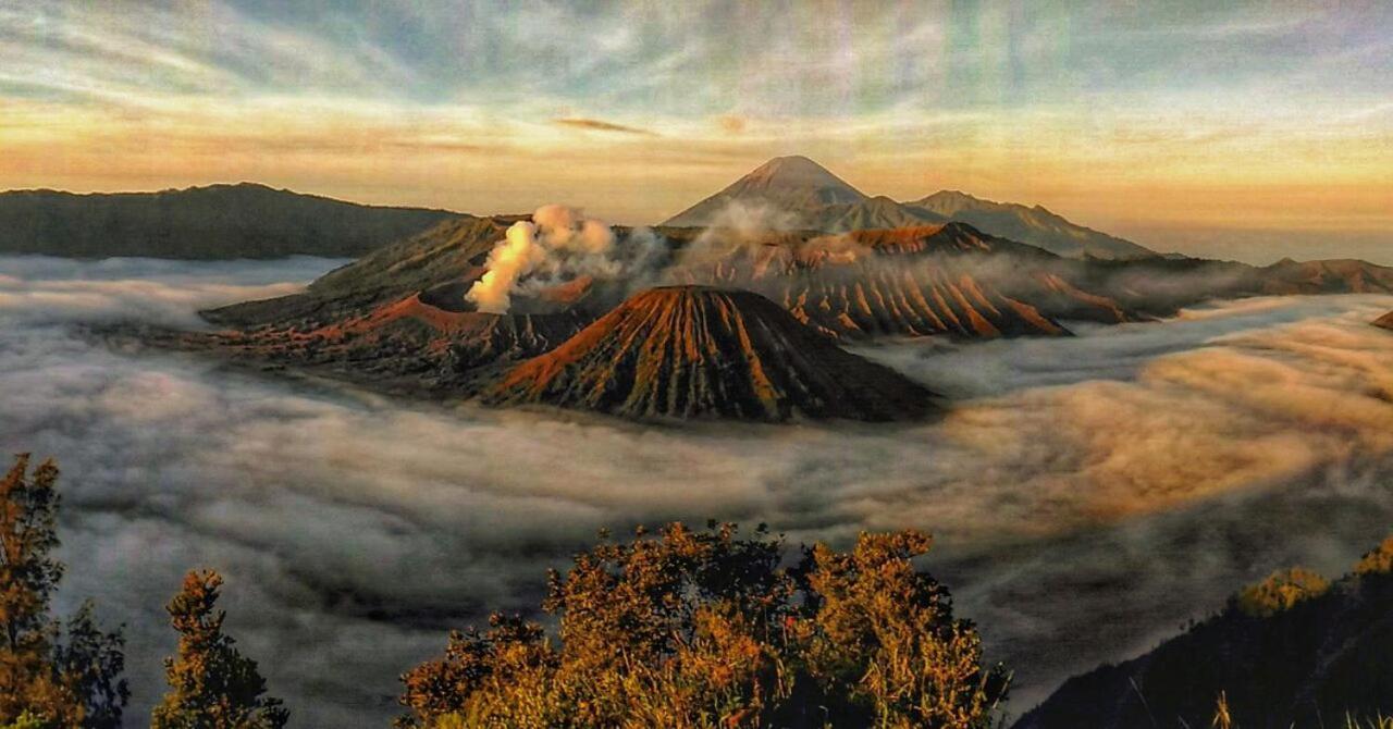 Hotel Ijen Transito Ketapang  Esterno foto