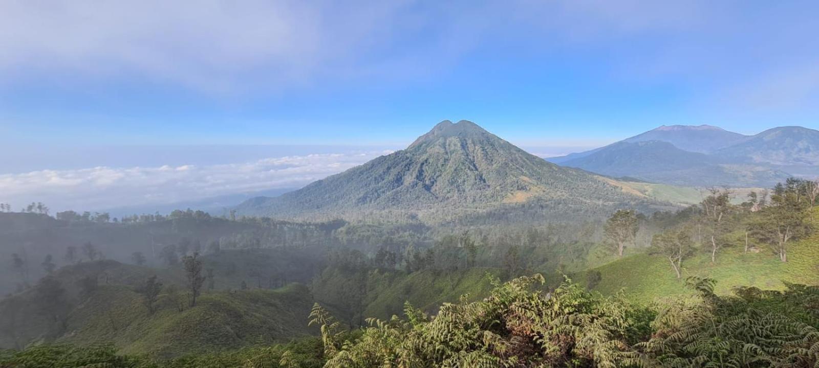 Hotel Ijen Transito Ketapang  Esterno foto